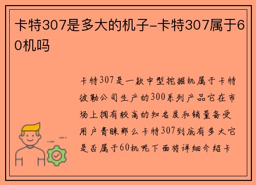卡特307是多大的机子-卡特307属于60机吗