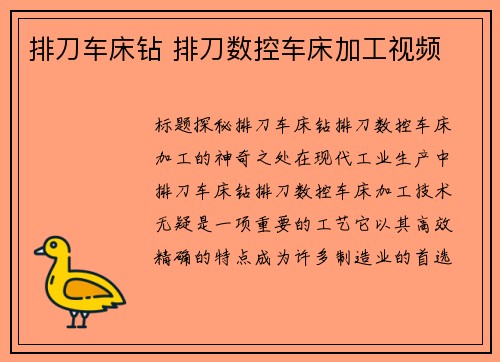 排刀车床钻 排刀数控车床加工视频